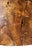 2020s Oval Teak Root Coffee Table For Sale - Image 5 of 10