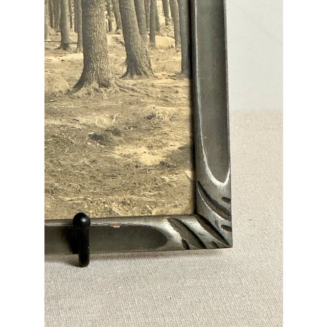 1900s Antique Black and White Forest Scene Photograph For Sale - Image 4 of 6