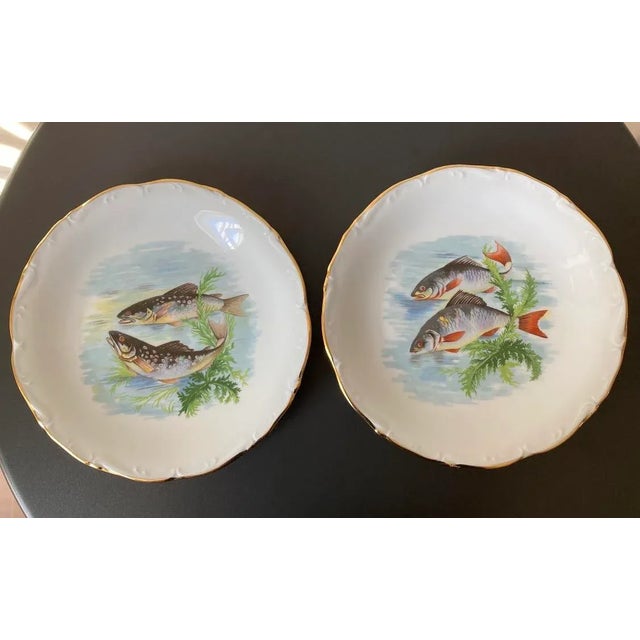 A beautiful set of French porcelain fish plates with distinctive design, circa mid 20th century, France, Europe. Colors...