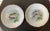 A beautiful set of French porcelain fish plates with distinctive design, circa mid 20th century, France, Europe. Colors...