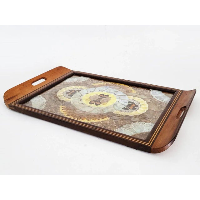 Art Deco 1940s Daniel Teixeira Brazilian Butterfly Tray With Wood Marquetry Detail For Sale - Image 3 of 10