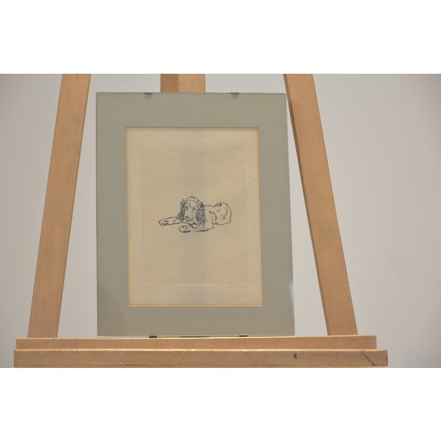 Cocker Spaniel, Etching by Renee Sintenis, 1950s For Sale - Image 6 of 6