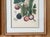Vintage Botanical Floral Prints, l'Ile De Java, Framed, a Pair Reproduction For Sale - Image 11 of 12