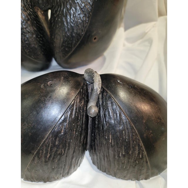 Coco De Mer Lodocia Nut, 19c Carved For Sale - Image 12 of 13