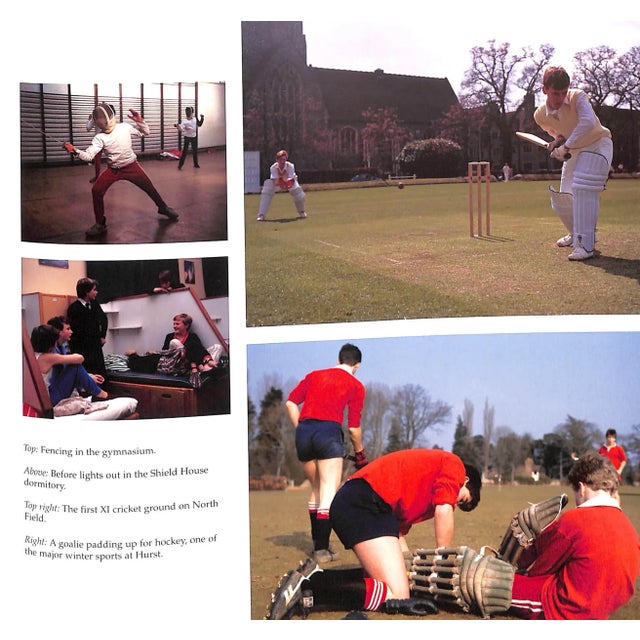 "Thirty Years On!: A Private View of Public Schools" 2014 Draisey, Mark For Sale - Image 10 of 12