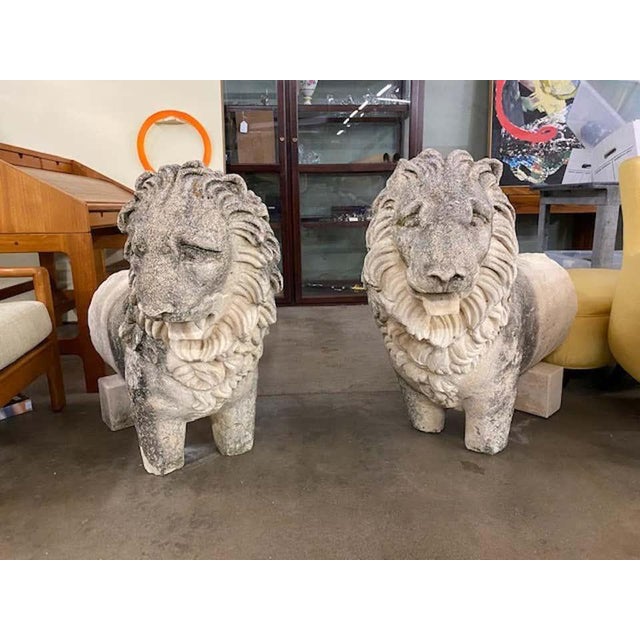19th Century Sandstone Lions a Pair Chairish