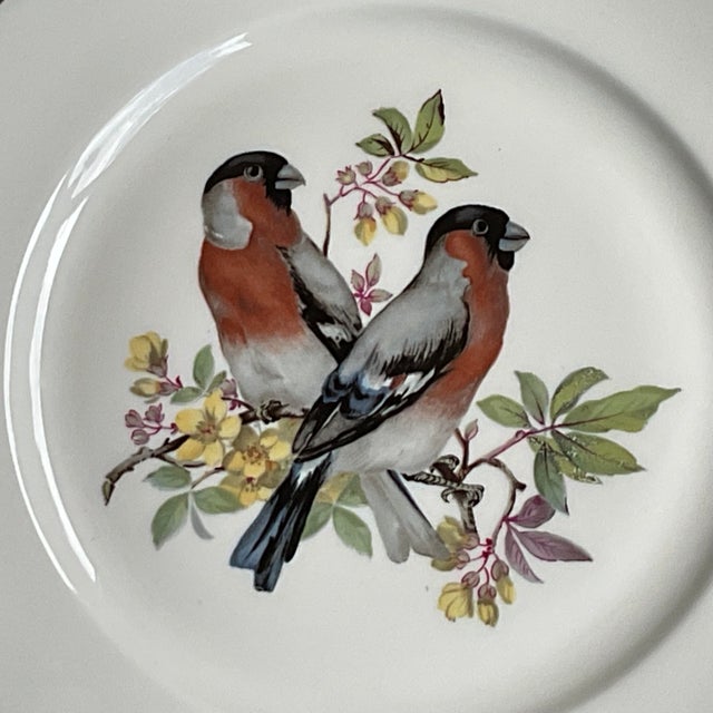 Mid 20th Century Porcelain Song Bird Plates JKW Western Germany, Set of 6 For Sale - Image 9 of 18