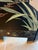 1960s Asian Coromandel-Style Black Lacquer Double-Sided Four-Panel Folding Screen For Sale - Image 12 of 17