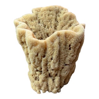 Large Late 20th Century Natural Organic Sea Sponge Nautical Decor Vase For Sale