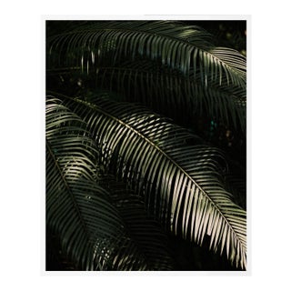 Fern by Christine Flynn in White Framed Paper, Medium Art Print For Sale