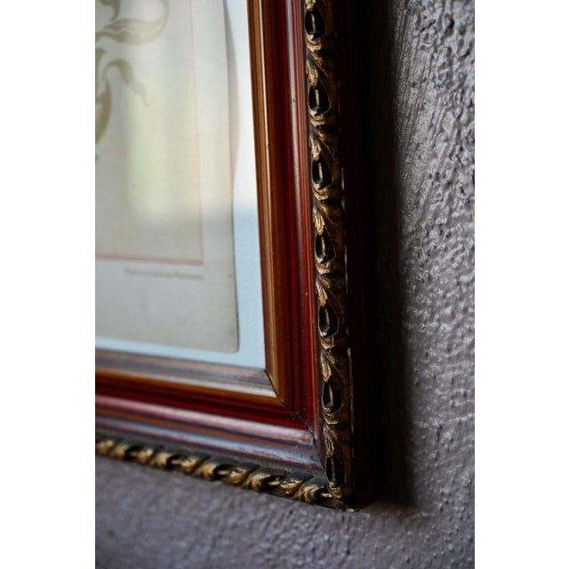 Piloty & Loehle, Godron Bouquet, 1920s, Chromolithograph, Framed For Sale - Image 9 of 10