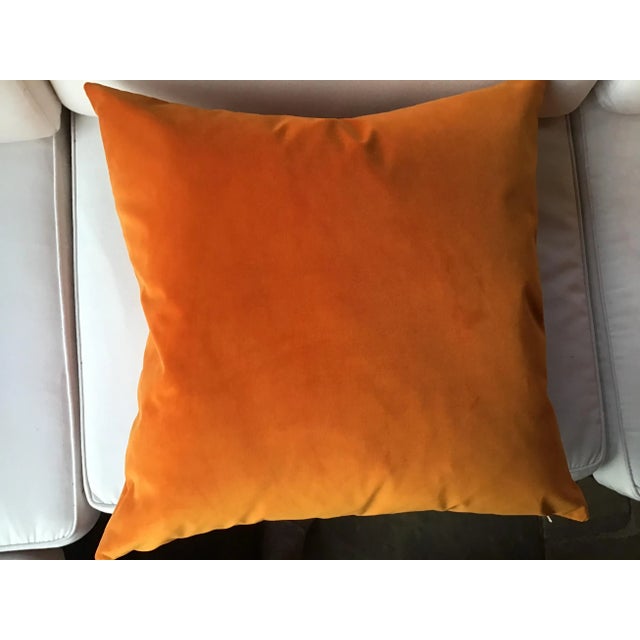 Tangerine Orange Velvet Plush Down Filled Pillows a Pair, 21” Chairish