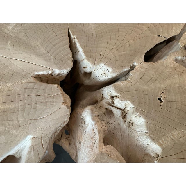 Andrianna Shamaris Organic Bleached Teak Wood Coffee Table For Sale - Image 4 of 18