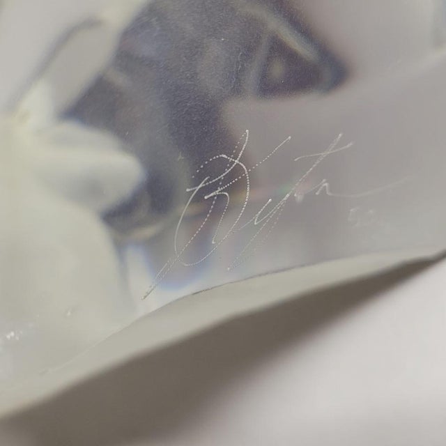 Lucite Sculpture Walrus on Ice Artist Signed For Sale - Image 9 of 10