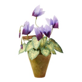 Example of New & Custom Objects & Oddities