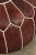 Berber Tribes of Morocco Late 20th Century Vintage Moroccan Brown Leather Pouf For Sale - Image 4 of 6