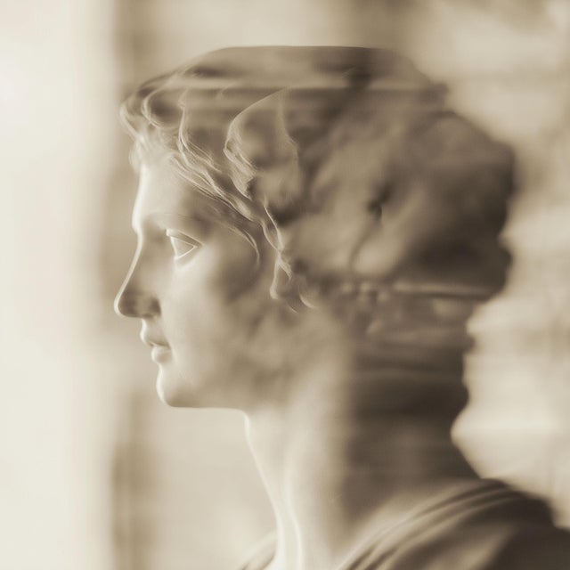 Set of 18 Blurred Antique Profiles — Archival Prints of Restored Antique Photographs For Sale - Image 4 of 18