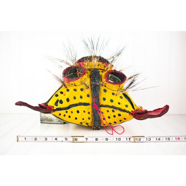 Mid 20th Century Ceremonial Leather Tiger / Jaguar Mask From Guerrero, Mexico For Sale - Image 15 of 17