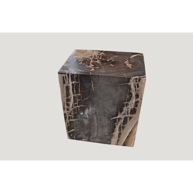 Wood Andrianna Shamaris Petrified Wood Side Table For Sale - Image 7 of 18