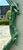 Metal Vintage Green Painted Twig Mirror For Sale - Image 7 of 12