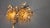 Gold Vintage Tulip Wall Lamp from Hans Kögl, 1970s For Sale - Image 8 of 11