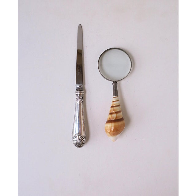 Victorian Magnifying Glass Seashell Handle For Sale - Image 3 of 13