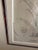 Mid 19th Century Victorian Botanical Lithograph - Queen's Tears - Friendship Plant For Sale - Image 4 of 5