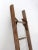Early 20th Century Antique Picking Ladder For Sale - Image 5 of 11