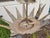 Mid 20th Century Mid Century Modern Spanish Gilt Metal Sunburst Crown Chandelier with Four Lights For Sale In Atlanta - Image 6 of 9