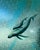 Pair of Etched Glass Ocean-Themed Doors For Sale - Image 10 of 11