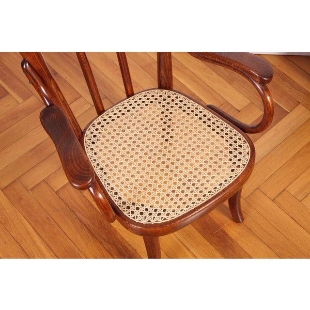 Vintage Children's Chair Model Z 2F From Thonet, 1930s For Sale - Image 17 of 18