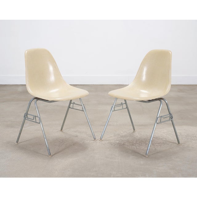 Set of Four Herman Miller DSS Mid-Century Fiberglass Side Chairs For Sale - Image 10 of 18