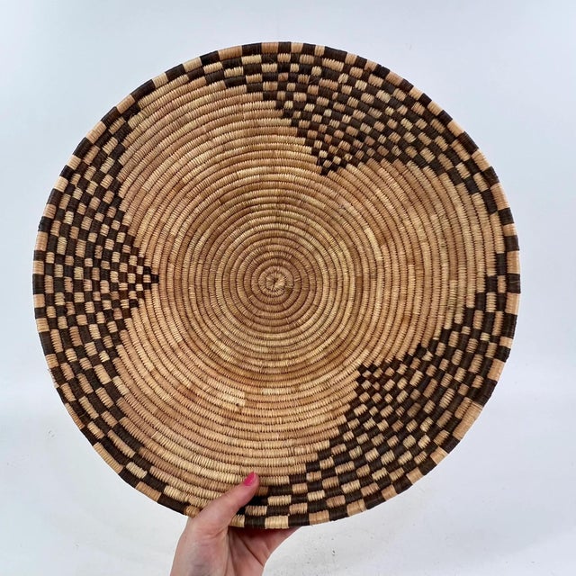 Early 20th Century Early 20th Century Botswana Basket 16inch MATTER COLLECTION For Sale - Image 5 of 6