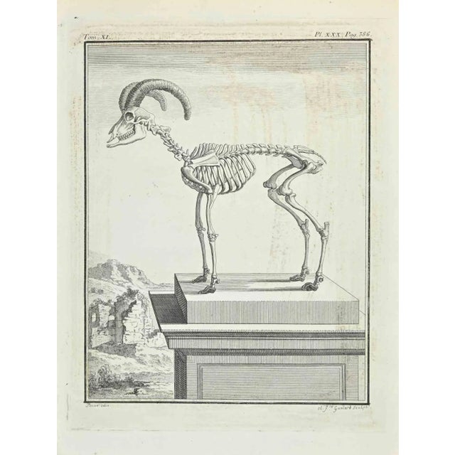 Anatomy is an etching realized by Gaillard in 1771. This piece is attributed to the mentioned designer/maker. It has no...