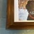 Contemporary Contemporary Snowy Black Labrador Retriever Print by Judy Henn For Sale - Image 3 of 4