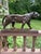 Metal Late 19th Century “Walking Tiger” French Bronze Sculpture by Antoine‑Louis Barye – Signed Barre For Sale - Image 7 of 11