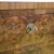 2000 - 2009 Wooden Chest of Drawers with Three Drawers and Burl Finish For Sale - Image 5 of 14