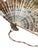 Rococo 19th Century Rococo Style Hand Fan For Sale - Image 3 of 5