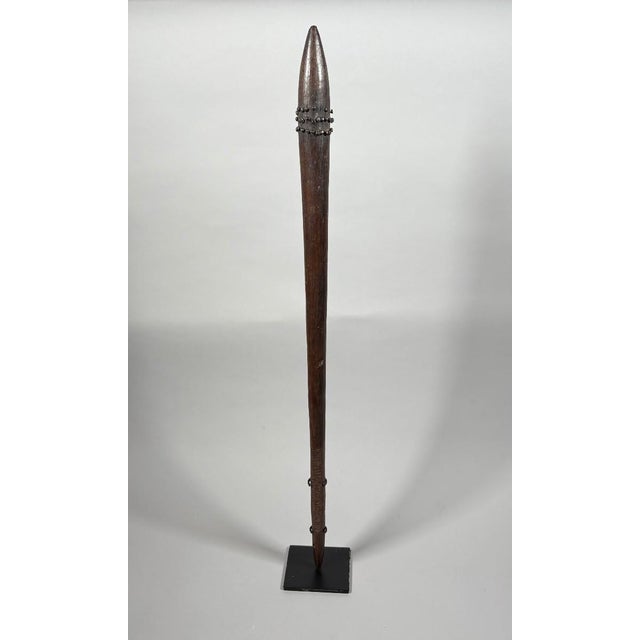 Aboriginal war club with a skull, Queensland, Australia. Oceania For Sale