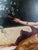 Wood 1990s Large Original Regency Fine Art Studio Painting “Woman With Lute” by Talach – Framed 60 X 47 For Sale - Image 7 of 15