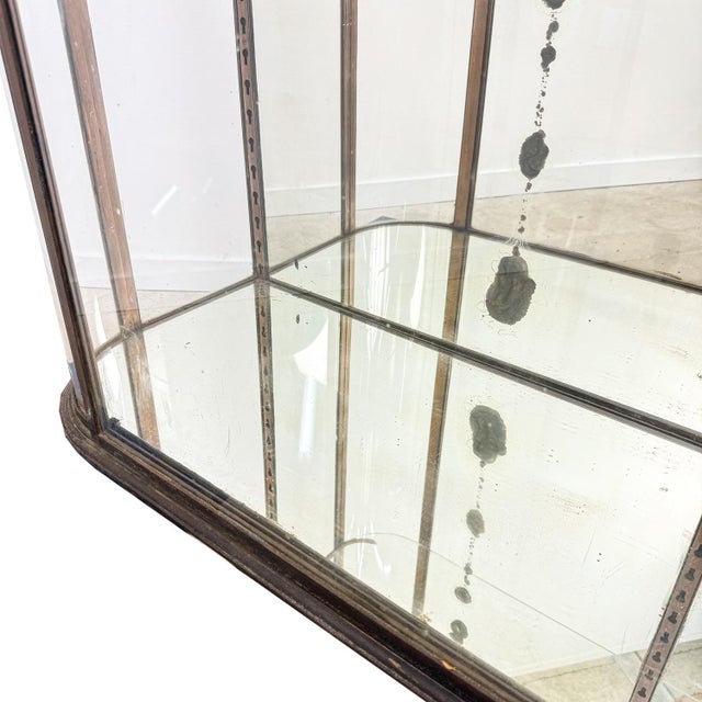 Large Antique Metal Museum Display Cabinet with Curved Glass, 1890s For Sale - Image 14 of 18