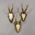 1960s Vintage Set of Six Roe Deer Trophies on Wooden Plaques Germany ca.1950/1960s For Sale - Image 5 of 8