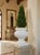 Neoclassical Style Cast Resin Cache Pot With Acanthus Leaf Detail For Sale - Image 10 of 11