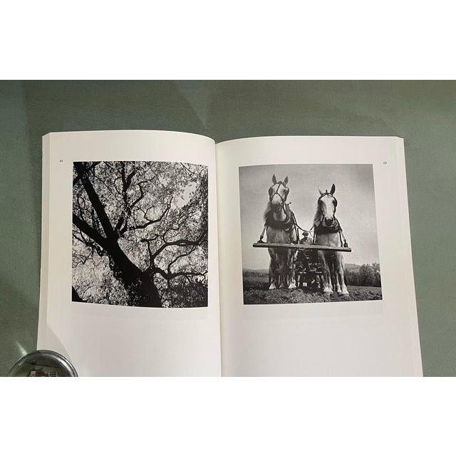 Paper “Night Train at Wiscasset Station” Paperback Book For Sale - Image 7 of 12
