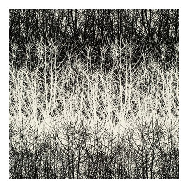 Schumacher Birches Fabric in Black For Sale