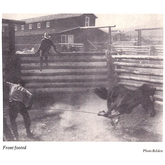 "Dude Ranches and Ponies" 1936 Smith, Lawrence B. For Sale In New York - Image 6 of 12