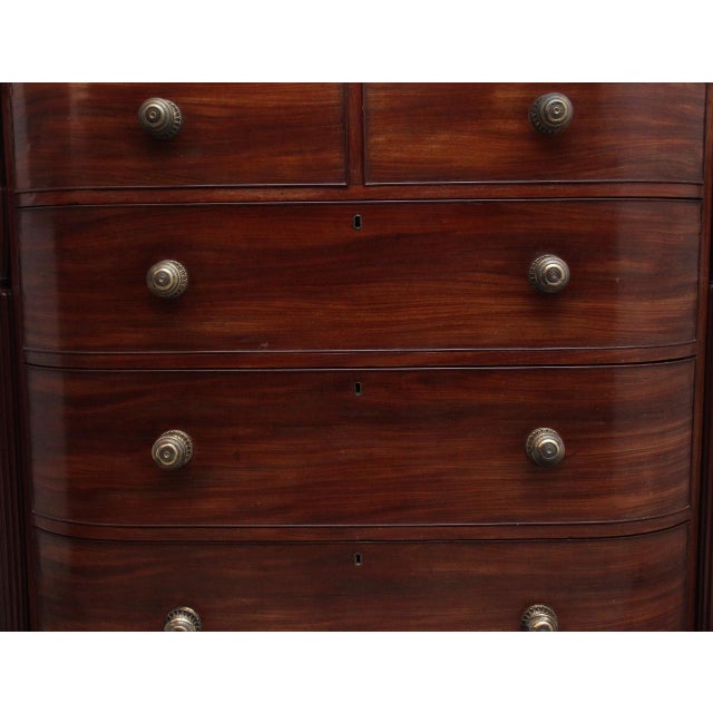 Antique Mahogany Bowfront Chest, 1830 For Sale - Image 13 of 14