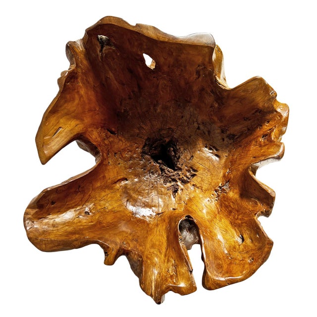 Large Organic Teak Root Bowl For Sale - Image 4 of 8