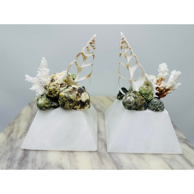 1960s Shell Sculptures, a Pair, on Vintage Italian Marble Bases For Sale - Image 5 of 6