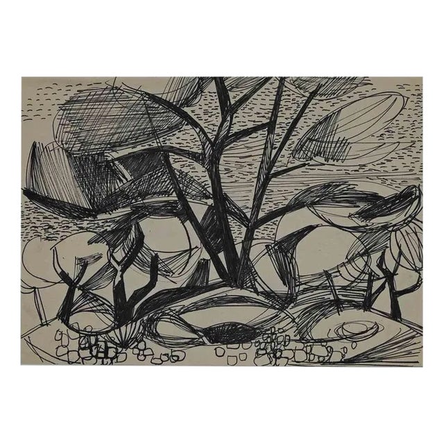 Plants by the Sea, Original Drawing, 1950s For Sale
